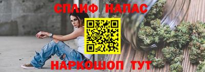 МДПВ Можайск