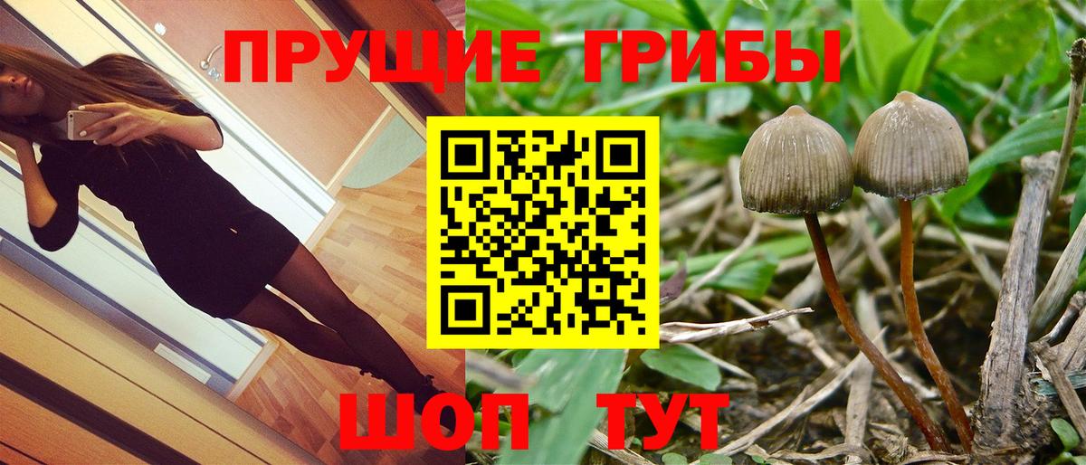 Псилоцибиновые грибы мицелий Ялта